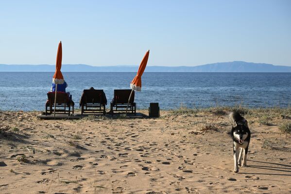 У језеро се улива око 336 река. Најважнија од тих река су Селенга и Баргузин.  - Sputnik Србија