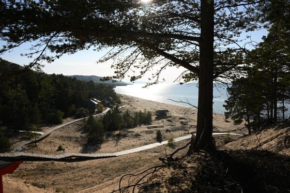Бајкалско језеро је дом за изузетан низ биљних и животињских врста, многе од којих су јединствене за језеро. Преко 2.000 врста биљака и животиња може се пронаћи овде, од којих две трећине није присутно нигде другде на свету - Sputnik Србија