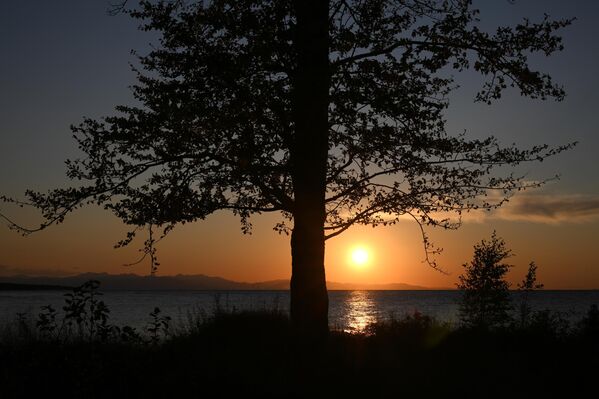 Бајкалско језеро крије скривене благо испод своје површине у облику древних потопљених шума. Ове сачуване шуме пружају увиде у геолошку прошлост региона.  - Sputnik Србија