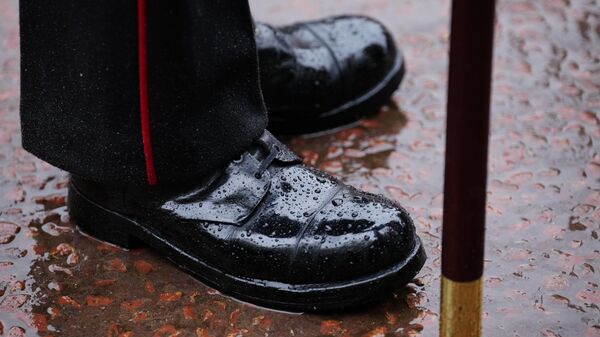 Britanski gardista  - Sputnik Srbija