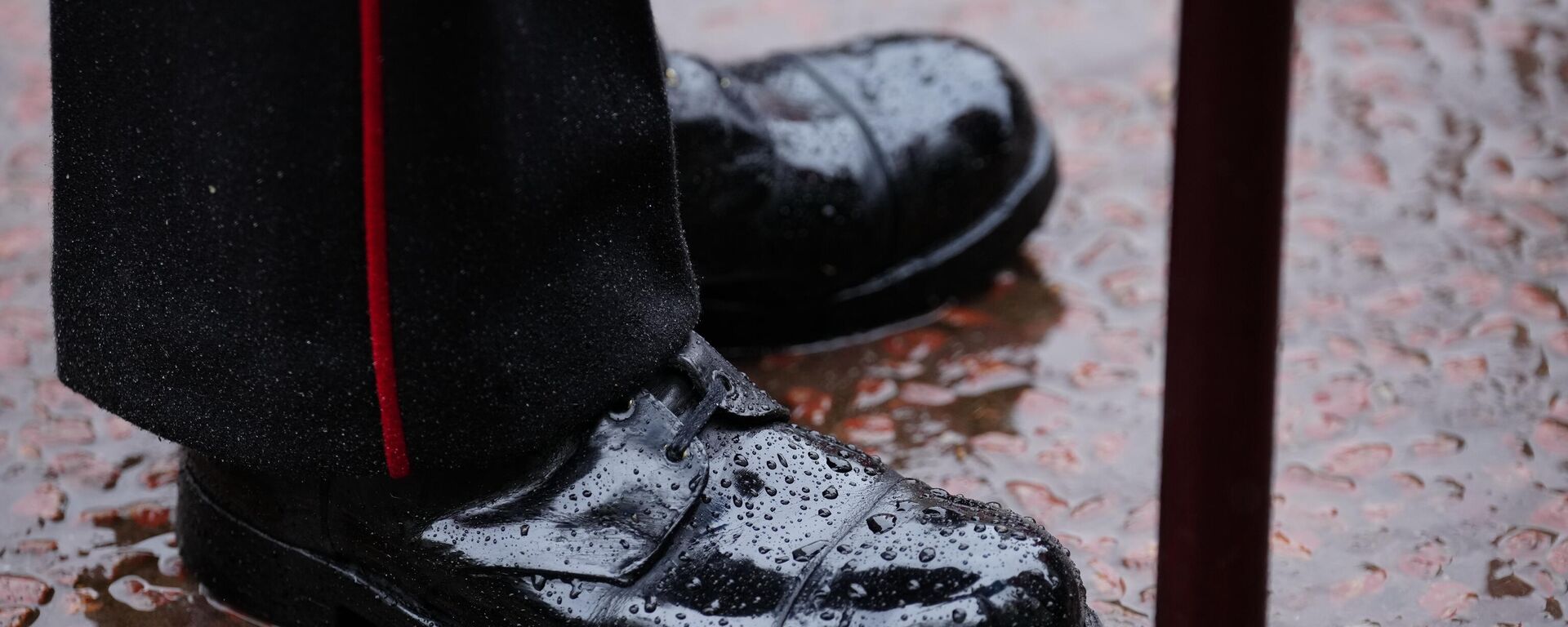 Британски гардиста  - Sputnik Србија, 1920, 23.09.2025