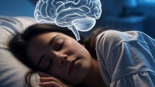 Дубок сан  - Sputnik Србија