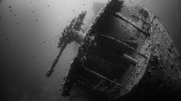 Olupina broda - Sputnik Srbija