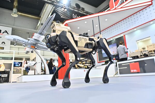 Псетиоци су на штандовима кинеских компанија могли видети широк спектар војне технике и наоружања - од оклопних возила и артиљеријских система, па до беспилотних летелица и високотехнолошких система електронског ратовања - Sputnik Србија