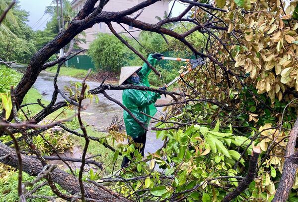 Жена уклања поломљено дрво након тајфуна. - Sputnik Србија