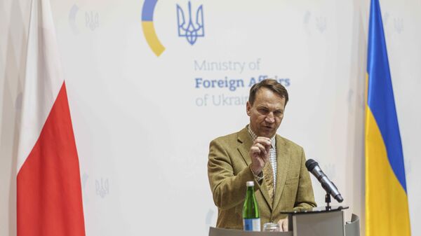 Ministar spoljnih poslova Poljske Radoslav Sikorski - Sputnik Srbija