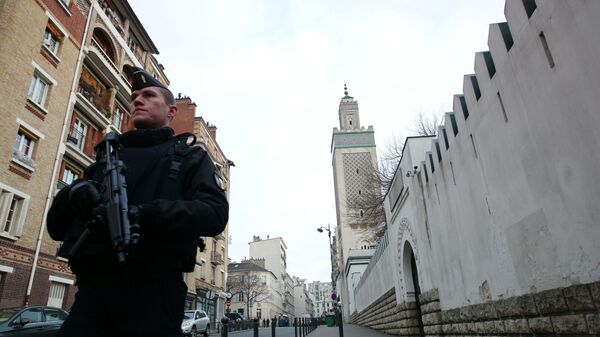Vojnik ispred džamije u Parizu - Sputnik Srbija
