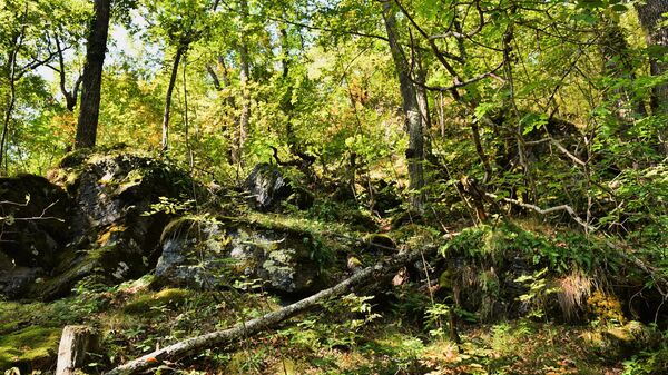  - Sputnik Србија