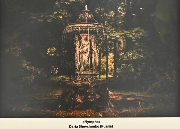 Projekat su mateijalno i na druge načine podržali pojedinci i organizacije na čelu sa Fondom „Gorčakov“  - Sputnik Srbija