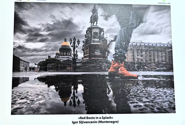 Fotografija crnogorskog fotografa, koja je ušla u finale, i na temu &quot;pokret&quot;, osvojila prvo mesto - Sputnik Srbija