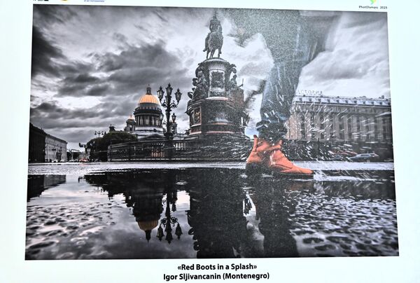 Fotografija crnogorskog fotografa, koja je ušla u finale, i na temu &quot;pokret&quot;, osvojila prvo mesto - Sputnik Srbija