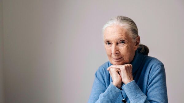 Џејн Гудал Џејн Гудал - Sputnik Србија