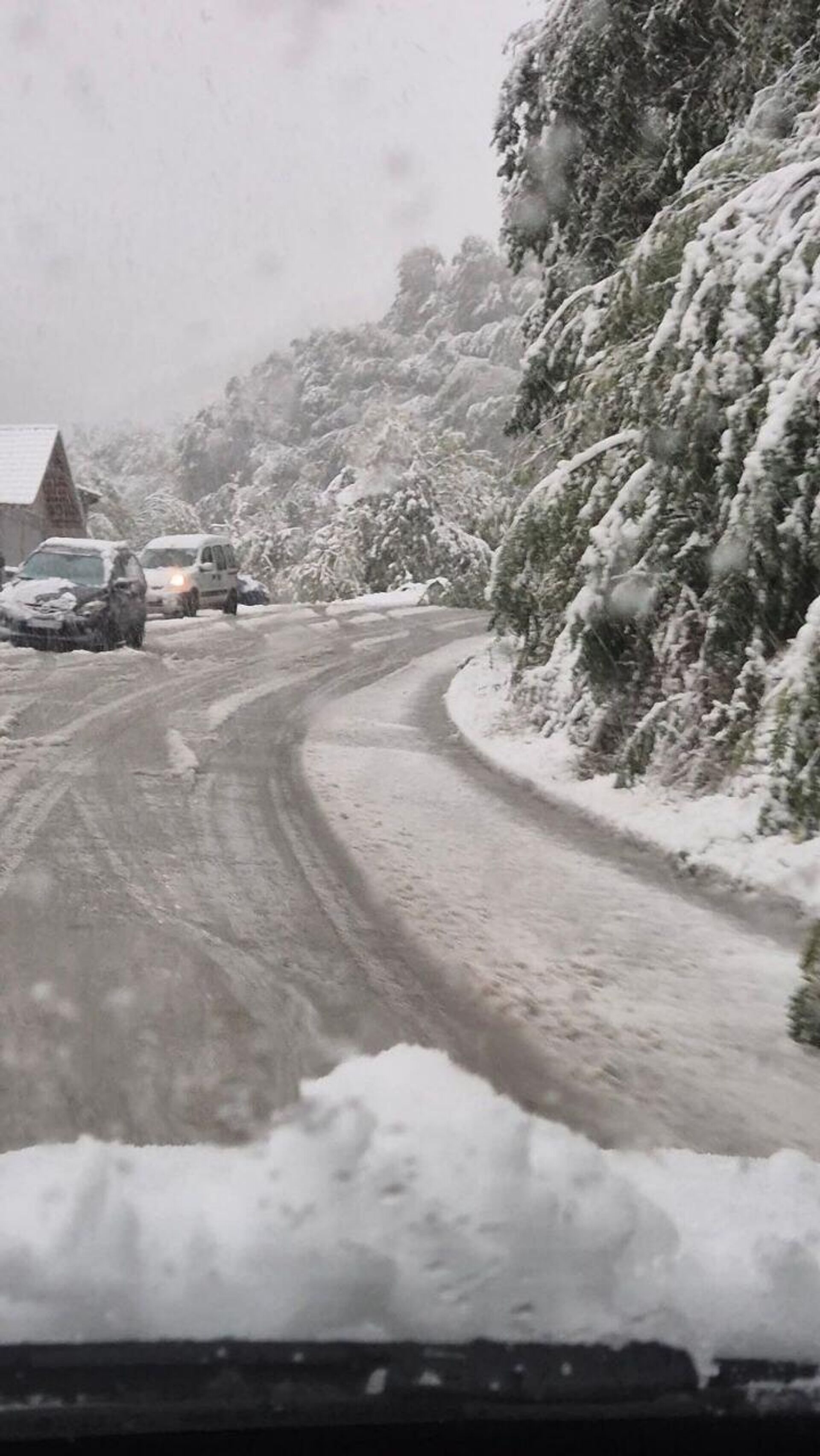 Снег у општини Брус - Sputnik Србија, 1920, 03.10.2025