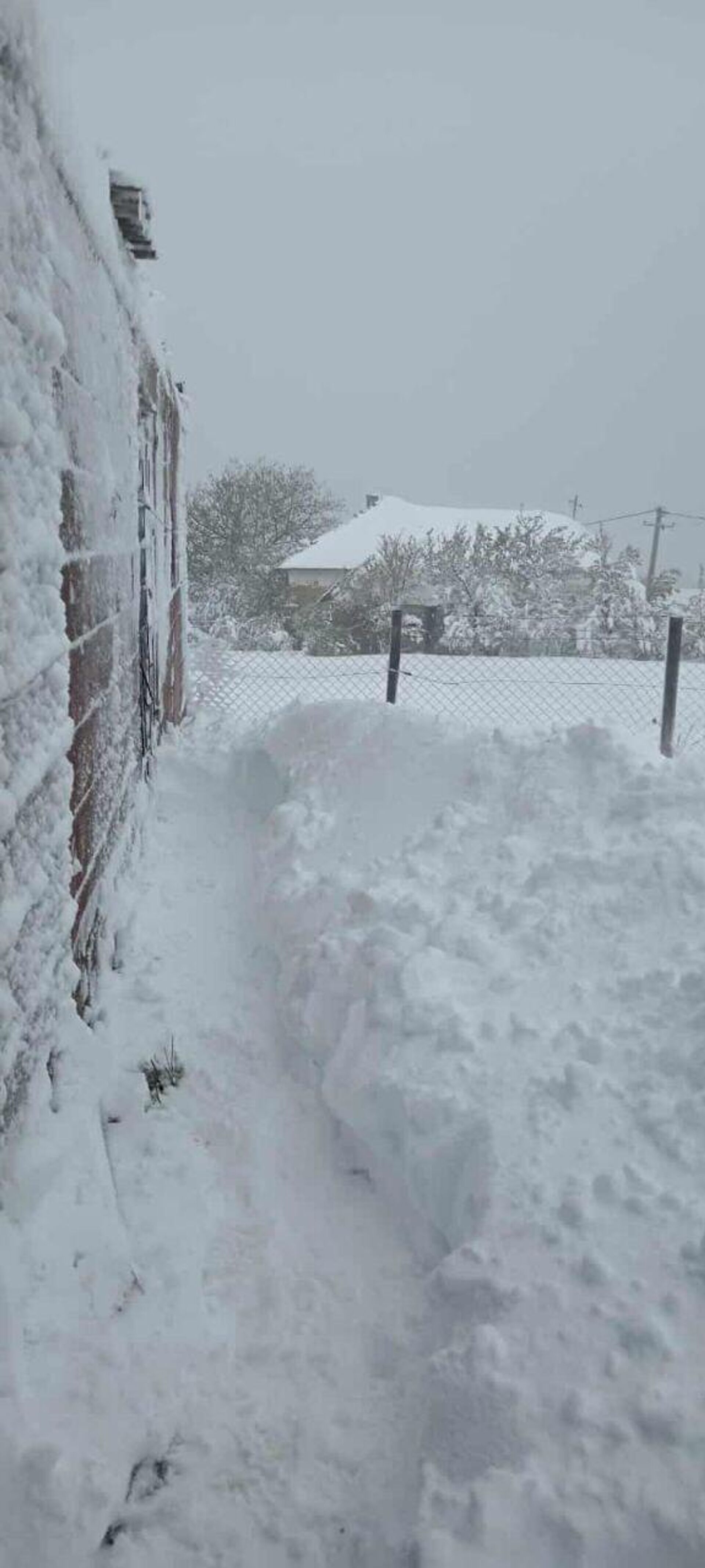 Снег у Прокупљу - Sputnik Србија, 1920, 03.10.2025