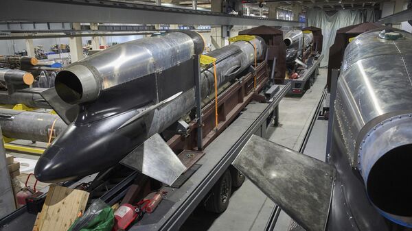 Производња украјинске ракете фламинго у тајној фабрици у Украјини - Sputnik Србија