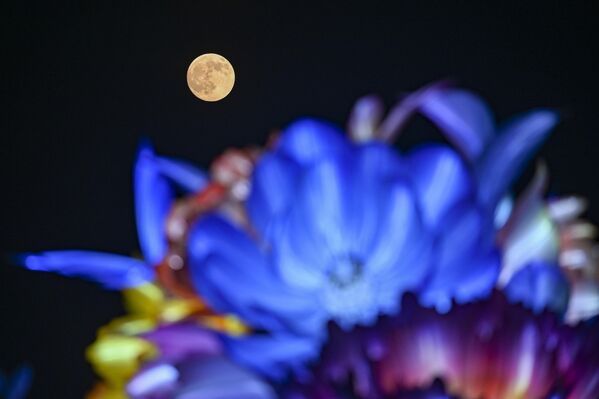 Пун месец обасјава ноћно небо током Празника средине јесени, или празника жетве, који је један од најважнијих кинексих празника.  - Sputnik Србија