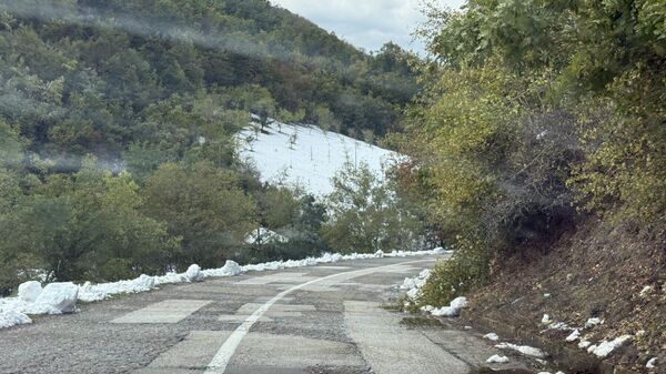 Na putu Medveđa-Priština — selo Petrilje pet dana bez struje - Sputnik Srbija