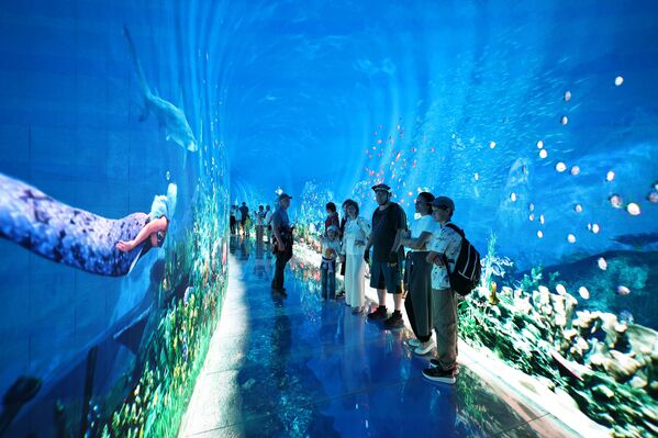 „Зечја рупа“ је такође једна од најновијих атракција овог парка. „Зечја рупа“ је такође једна од најновијих атракција овог парка. - Sputnik Србија