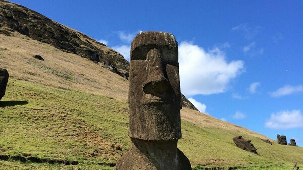 Džinovski kameni ljudi - Sputnik Srbija