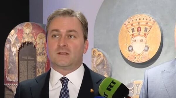 Nikola Selaković - Sputnik Srbija