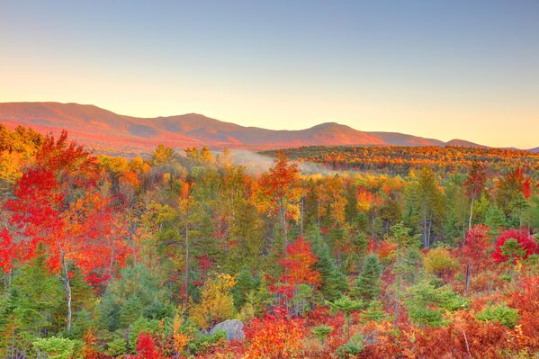 Овај невероватан јесењи призор забележен је у америчкој држави Мејн. - Sputnik Србија