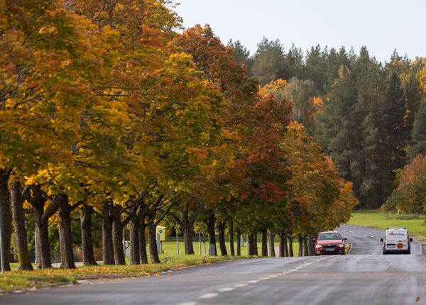 Шведска у топлом загрљају јесени.  - Sputnik Србија