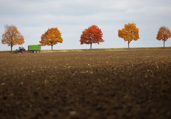 Живописне боје јесени никога не остављају равнодушним. - Sputnik Србија