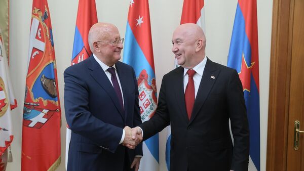 Министар Ненад Поповић са проф. др Александром Леонидовичем Гинцбургом - Sputnik Србија