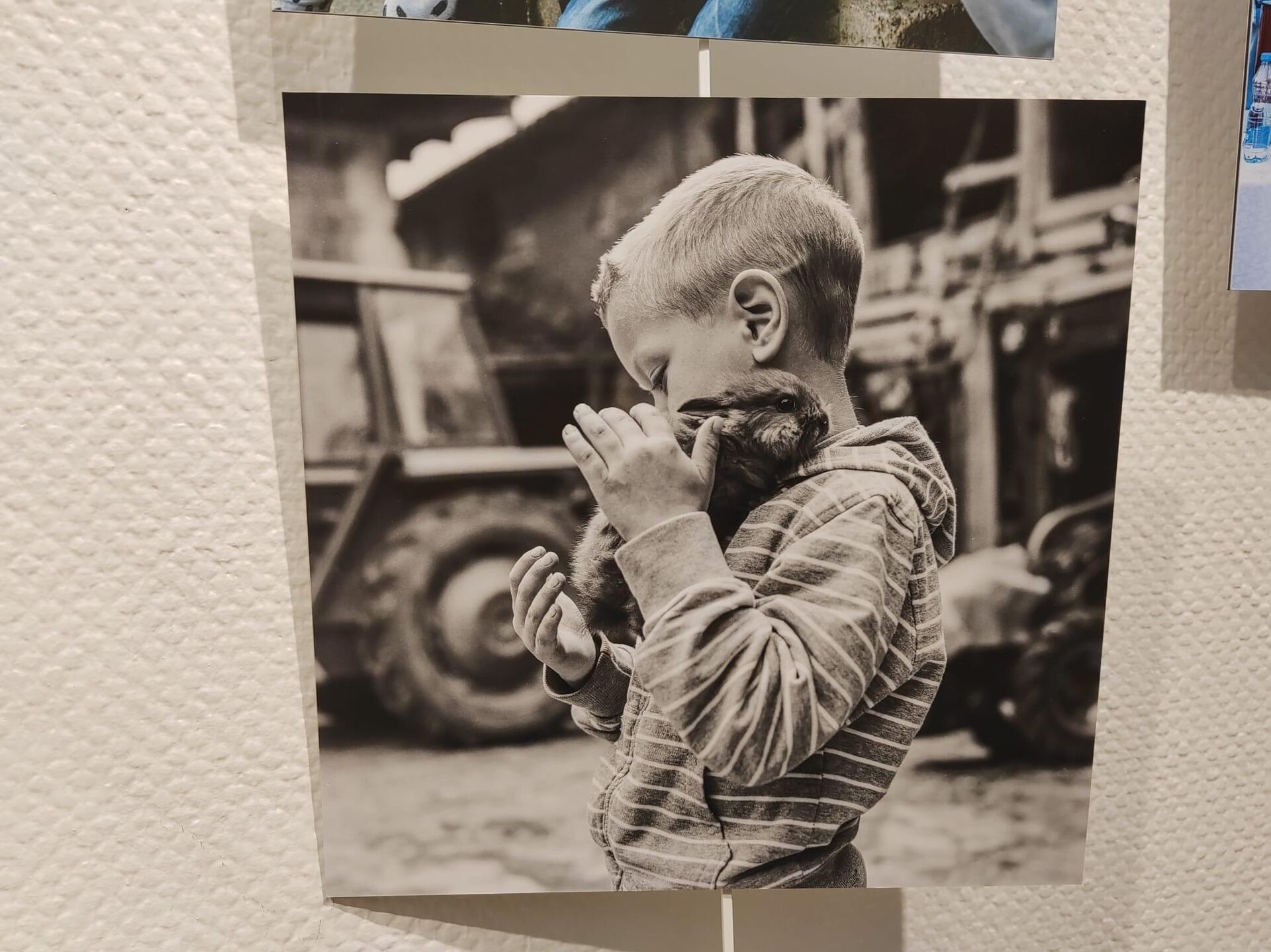 Изложба ''Сусрети са последњим Србима на Косову - Sputnik Србија, 1920, 14.10.2025