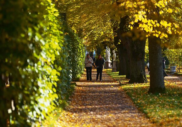 Башта је смештена на острву између реке Неве, реке Фонтанке, Мојке и Канала лабудова - Sputnik Србија