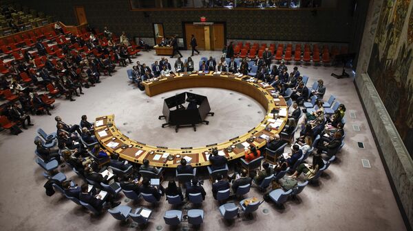 Savet bezbednosti UN - Sputnik Srbija