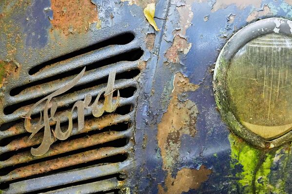 ,,Форд'' аутомобил стоји у приватном парку скулптура. - Sputnik Србија