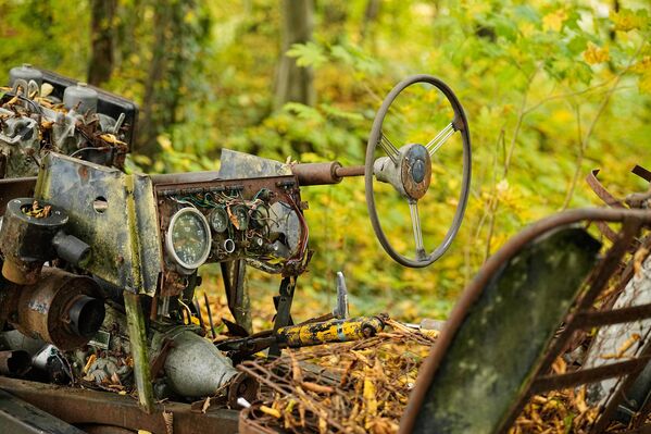 Старински аутомобил изложен у приватном парку. - Sputnik Србија