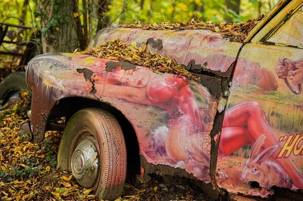 Аустралијски старински аутомобил марке ,,холден'' у приватном парку скулптура аутомобила у шуми у долини Неандертал у Метману, Немачка. - Sputnik Србија