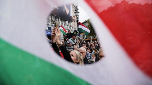 Budimpešta, protest - Sputnik Srbija