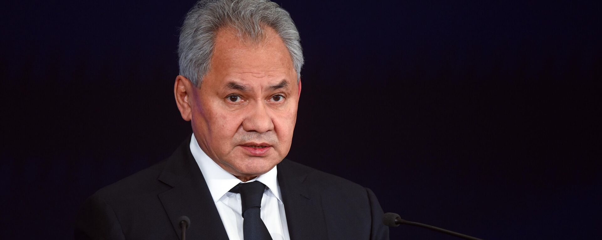 Секретар Савета безбедности Русије Сергеј Шојгу - Sputnik Србија, 1920, 23.04.2026