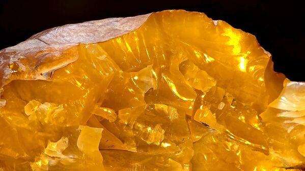 Ово је највећи проналазак од 2021. године.Претходни велики ћилибар „Тигрова глава“, тежине 2,7 кг, пронађен је у децембру 2021. године и продат на аукцији за 1,2 милиона рубаља. Ово је највећи проналазак од 2021. године.Претходни велики ћилибар „Тигрова глава“, тежине 2,7 кг, пронађен је у децембру 2021. године и продат на аукцији за 1,2 милиона рубаља. - Sputnik Србија