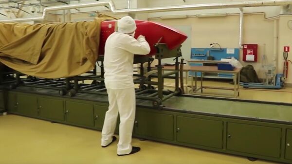 Ruska krstareća raketa „burevesnik“ - Sputnik Srbija