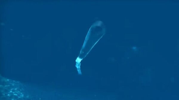 Podvodni sistem posejdon - Sputnik Srbija