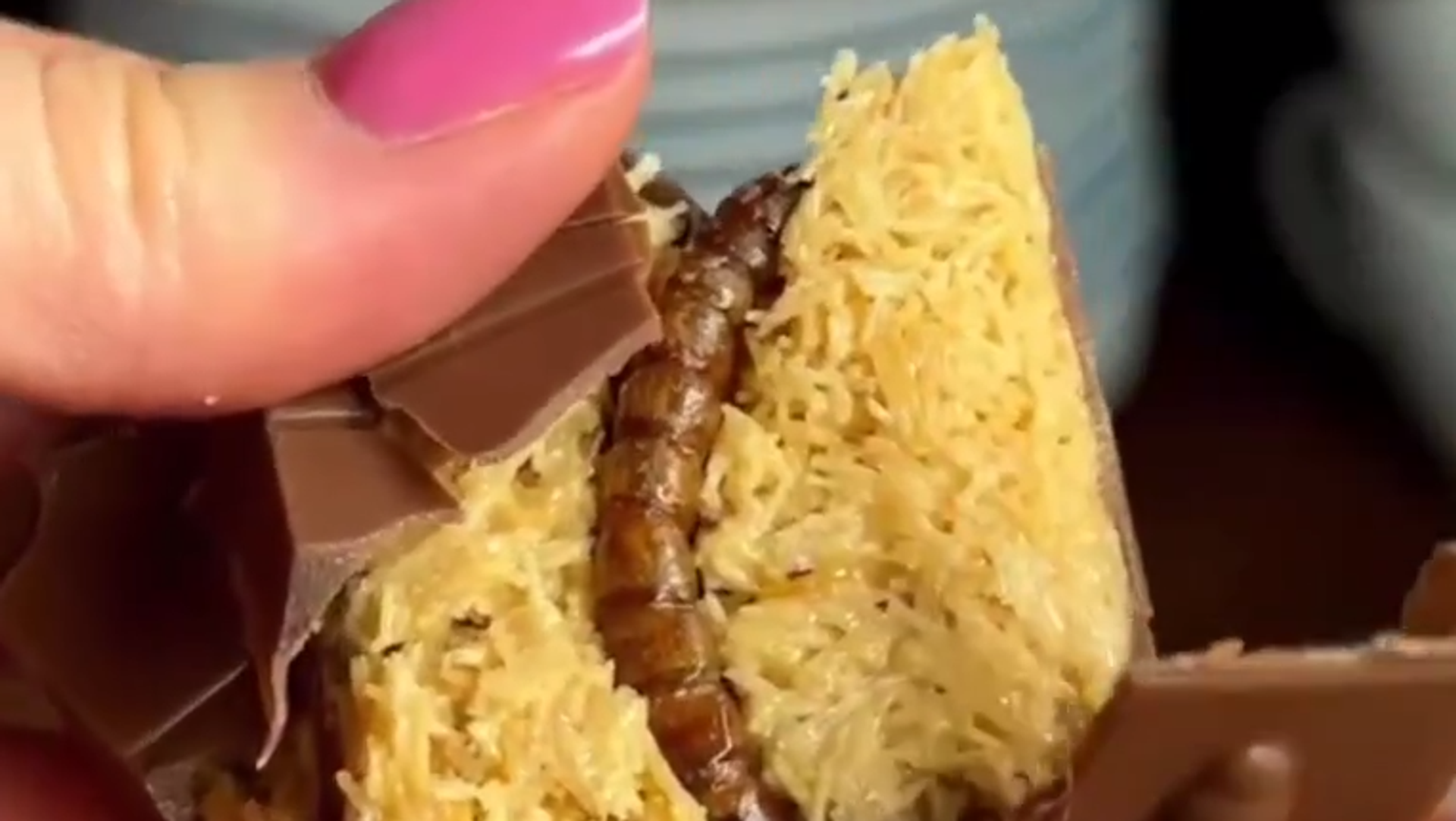 Чоколадица са правим црвом Чоколадица са правим црвом - Sputnik Србија, 1920, 30.10.2025