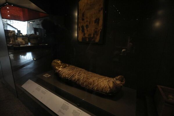 Експонат мумије је нашао своје место у музеју. - Sputnik Србија