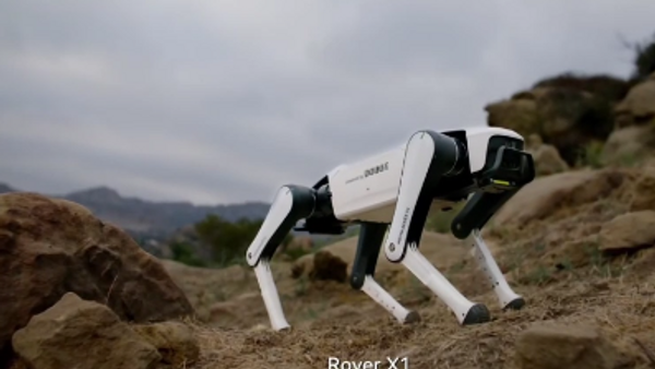 Робот пас за кућну употребу представљен у Кини /видео/