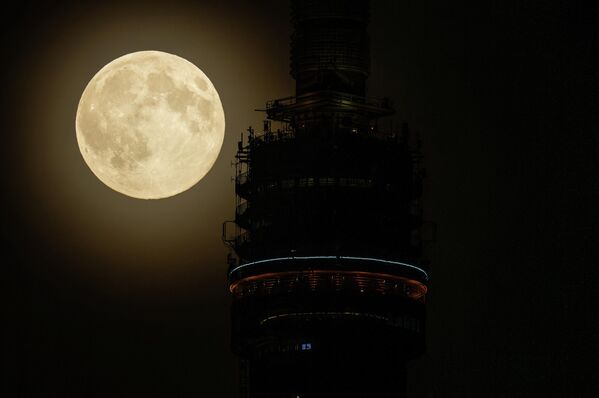 Pun mesec iznad Ostankinskog TV tornja u Moskvi. - Sputnik Srbija
