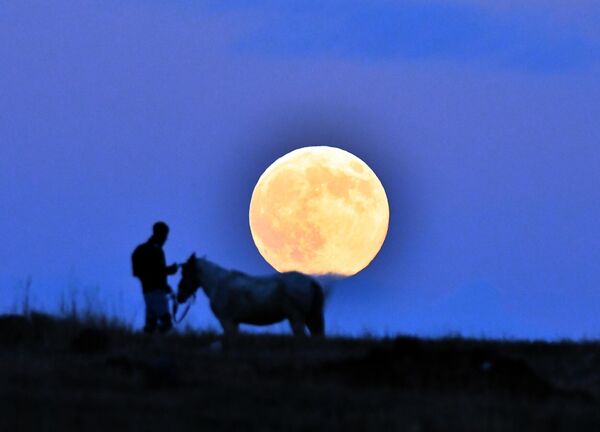 Pun mesec se pojavljuje iza siluete čoveka i konja u večernjim satima u okrugu Sarikamiš u Karsu, Turskoj. - Sputnik Srbija