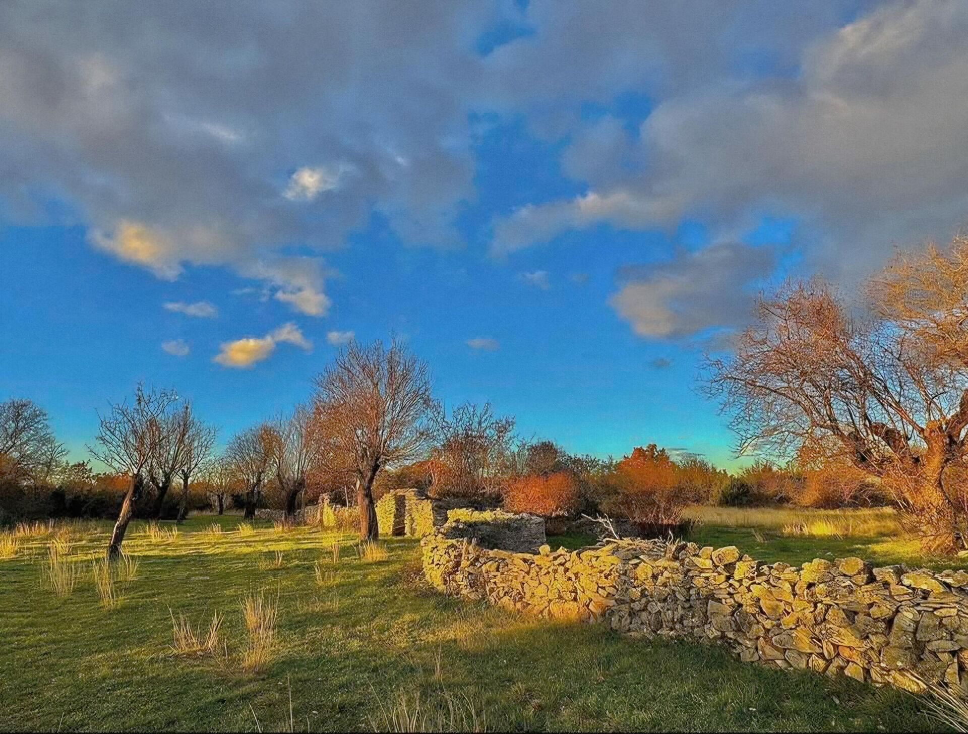 Jelenina dalmatinska Bukovica - nebo nigde nije plavo, kao u zavičaju - Sputnik Srbija, 1920, 08.11.2025