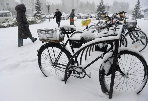 Новосибирск је данас највећи привредни, културни, саобраћајни, образовни и научни центар Сибира. - Sputnik Србија