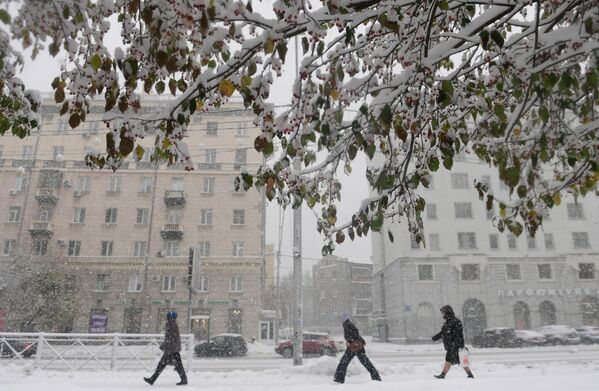 Уколико се нађете даље од центра Новосибирска, у Академском граду, околне шуме су идеалне за скијашко трчање и дуге, тихе шетње кроз нетакнут снег. - Sputnik Србија