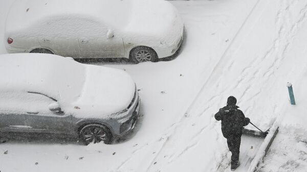 Snegopad v Novosibirske - Sputnik Srbija