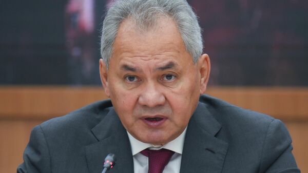 Шојгу: У Русији се следеће године организује први међународни безбедносни форум