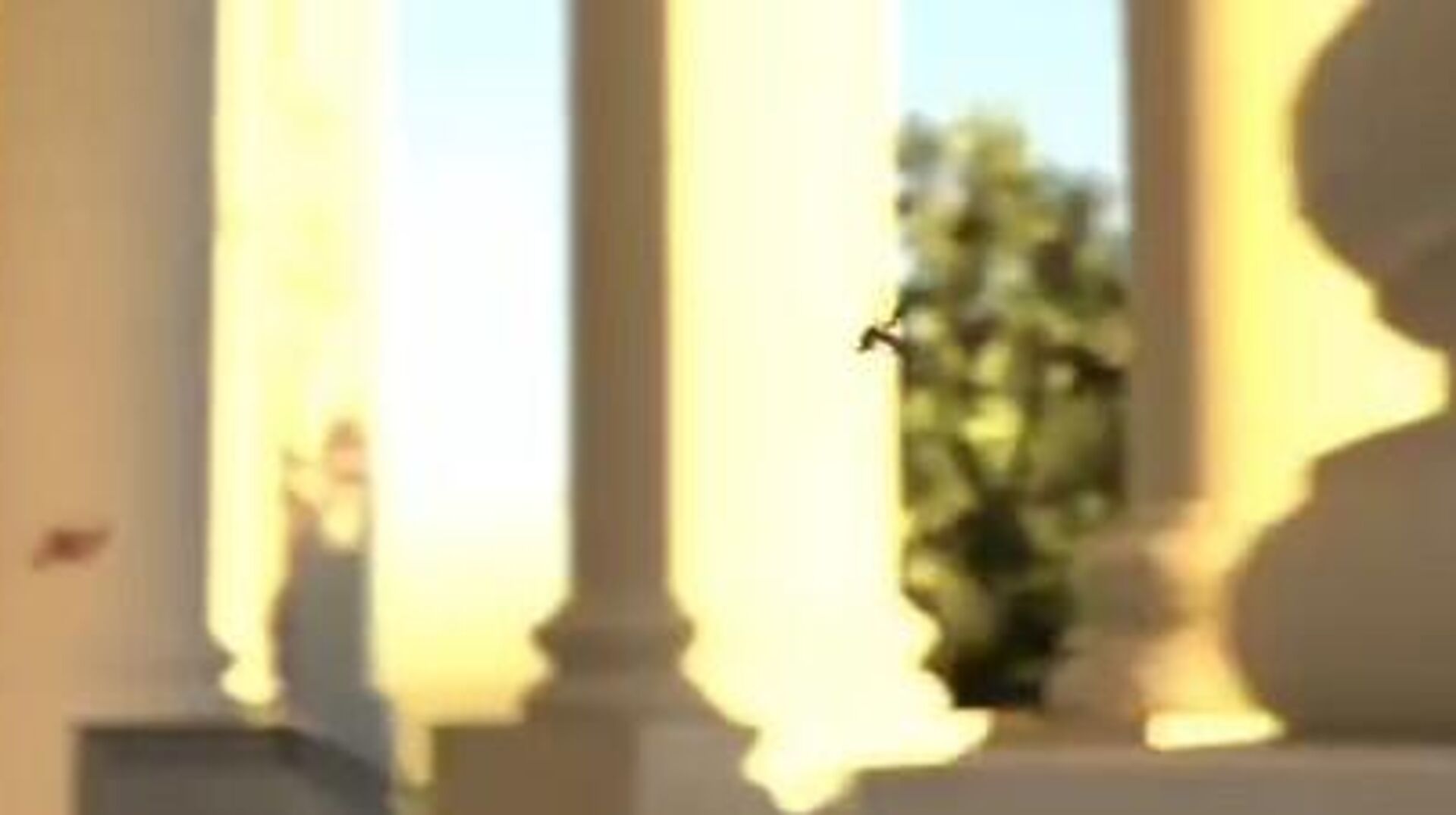 Dron-lovac - Sputnik Srbija, 1920, 11.11.2025